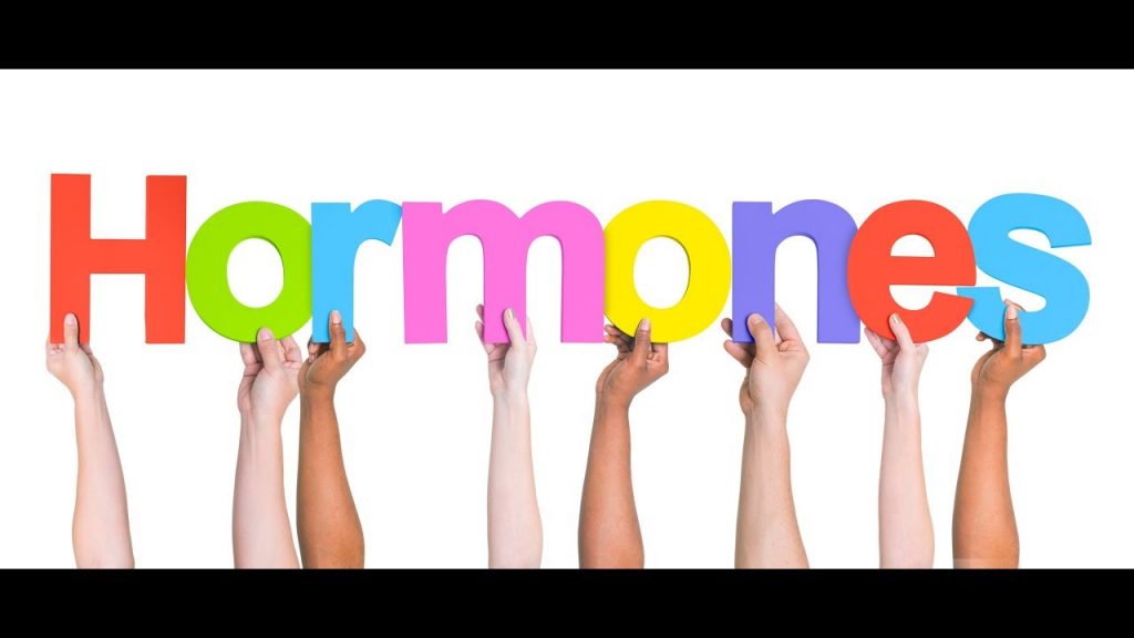 How hormonal changes affect you at menopause